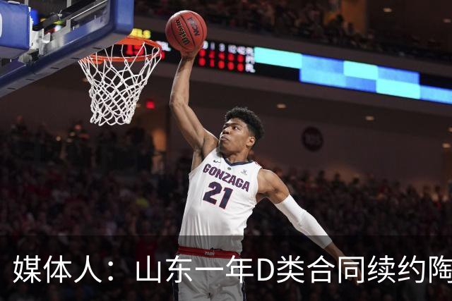 媒体人：山东一年D类合同续约陶汉林 与高诗岩的续约还在谈判中